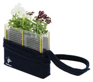 Cidepe EQ274 · Vivero de plántulas con bolsa
