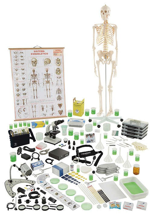 Cidepe EQ353B · Conjunto de biología B para 4 grupos